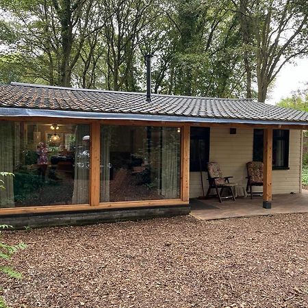 Huisje In Het Bos Zuidlaren Exteriér fotografie